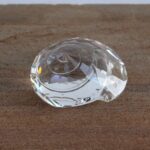 ΚΟΧΛΙΑΣ SCS 2007 SWAROVSKI